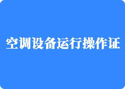 毛片操逼高潮制冷工证